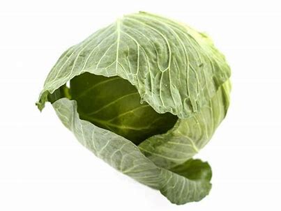Cabbage - Plain
