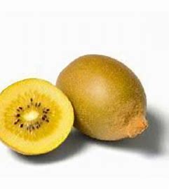 Kiwi Fruit - Gold