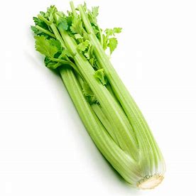 Celery - Whole