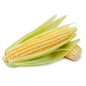 Corn- on the cob