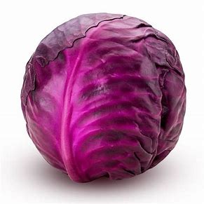 Cabbage - Red - whole
