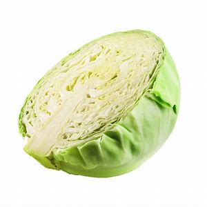 Cabbage - Plain Half